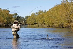 is-river-fly-fishing-crop